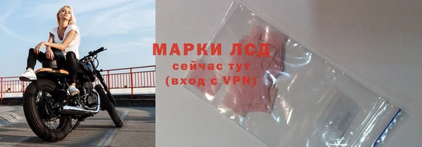 дживик Баксан