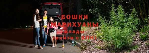 дживик Баксан