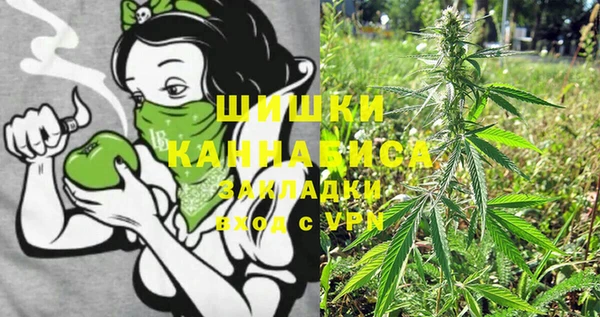 дживик Баксан