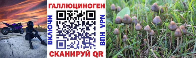 Псилоцибиновые грибы Cubensis  Купить где  Шахунья 